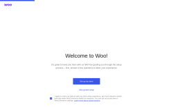 Page screenshot: Setup Wizard &lsaquo; WooCommerce &lsaquo; Test site