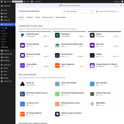 Page screenshot: WooCommerce &rarr; Extensions 