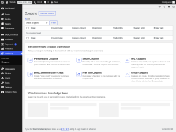 Page screenshot: WooCommerce &rarr; Coupons