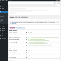 Page screenshot: WooCommerce → Status