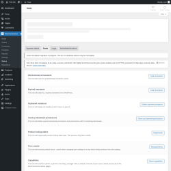 Page screenshot: WooCommerce → Status → Tools