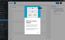 Page screenshot: Widgets ‹ Test site — WordPress