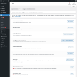 Page screenshot: WooCommerce &rarr; Status &rarr; Tools