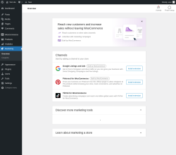 Page screenshot: Marketing