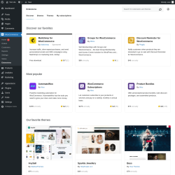 Page screenshot: WooCommerce &rarr; 