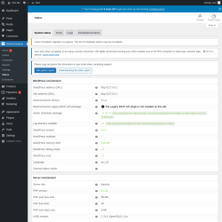 Page screenshot: WooCommerce &rarr; Status