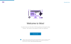 Page screenshot: Profiler &lsaquo; WooCommerce &lsaquo; Test site &mdash; WooCommerce