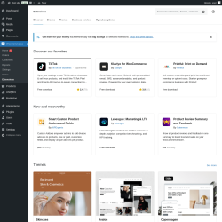 Page screenshot: WooCommerce &rarr; Extensions