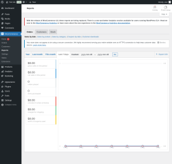 Page screenshot: WooCommerce &rarr; Reports