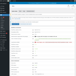 Page screenshot: WooCommerce &rarr; Status