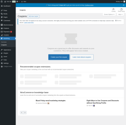 Page screenshot: WooCommerce &rarr; Coupons