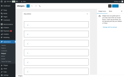 Page screenshot: Widgets &lsaquo; Test site &mdash; WordPress