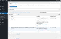 Page screenshot: Plugins &lsaquo; Test site &mdash; WordPress