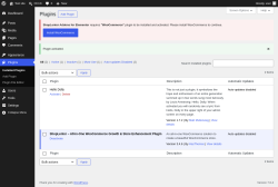 Page screenshot: Plugins &lsaquo; Test site &mdash; WordPress