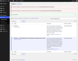 Page screenshot: Plugins &lsaquo; Test site &mdash; WordPress