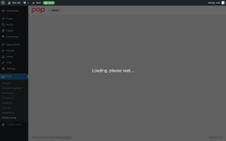 Page screenshot: POP &rarr; Wizard setup