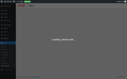 Page screenshot: POP &rarr; Wizard setup