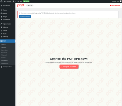 Page screenshot: POP