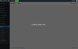 Page screenshot: POP &rarr; Wizard setup