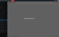 Page screenshot: POP &rarr; Wizard setup