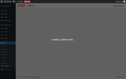Page screenshot: POP &rarr; Wizard setup