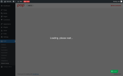 Page screenshot: POP &rarr; Wizard setup