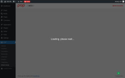 Page screenshot: Electronic Invoice - Settings &lsaquo; Test site &mdash; WordPress