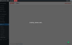Page screenshot: Electronic Invoice - Settings &lsaquo; Test site &mdash; WordPress