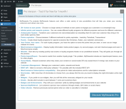 Page screenshot: MyRewards → Pro Version