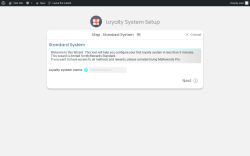 Page screenshot: Wizard ‹ Test site — WordPress