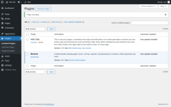 Page screenshot: Plugins &lsaquo; Test site &mdash; WordPress
