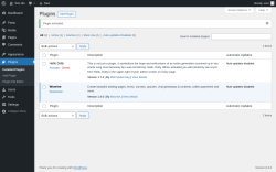 Page screenshot: Plugins &lsaquo; Test site &mdash; WordPress