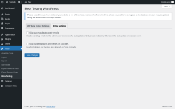 Page screenshot: Tools → Beta Testing → Extra Settings