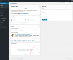 Page screenshot: Dashboard &lsaquo; Test site &mdash; WordPress