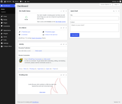 Page screenshot: Dashboard &lsaquo; Test site &mdash; WordPress
