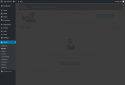 Page screenshot: Hustle &rarr; Pop-ups