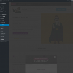 Page screenshot: Hustle &rarr; Hustle Pro