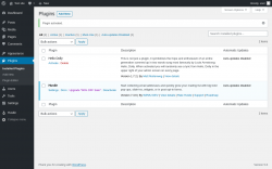 Page screenshot: Plugins &lsaquo; Test site &mdash; WordPress