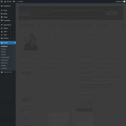 Page screenshot: Hustle