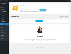 Page screenshot: Hustle &rarr; Email Lists
