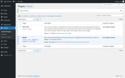 Page screenshot: Plugins &lsaquo; Test site &mdash; WordPress