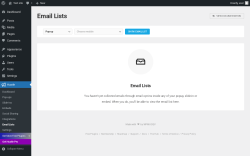 Page screenshot: Hustle &rarr; Email Lists