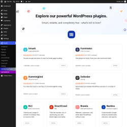 Page screenshot: Hustle &rarr; Get More Free Plugins