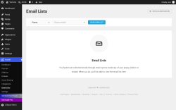 Page screenshot: Hustle &rarr; Email Lists