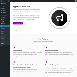 Page screenshot: Hustle &rarr; Hustle Pro