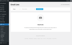 Page screenshot: Hustle &rarr; Email Lists
