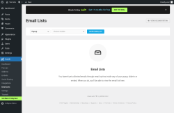 Page screenshot: Hustle → Email Lists