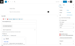Page screenshot: Add New Post ‹ Test site — WordPress