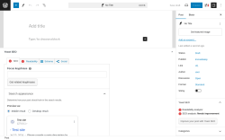 Page screenshot: Add New Post ‹ Test site — WordPress