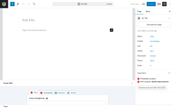 Page screenshot: Add New Page ‹ Test site — WordPress